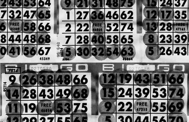 Bingo