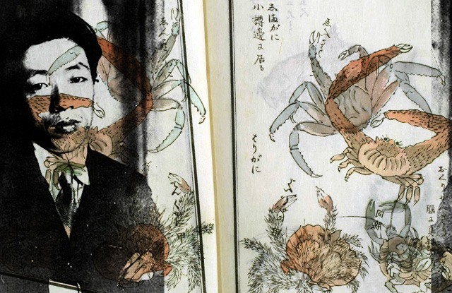 Kanikosen