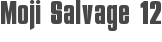Moji Salvage 12