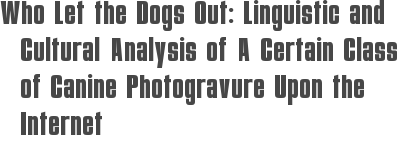 Who Let the Dogs Out: Linguistic and Cultural Analysis of A Certain Class of Canine Photogravure Upon the Internet